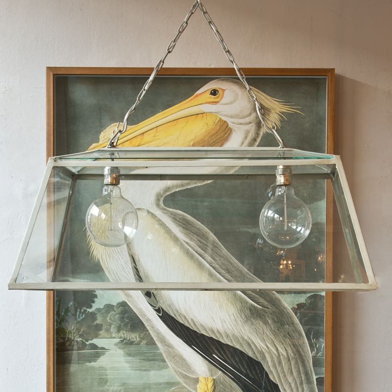 Pezula Interiors