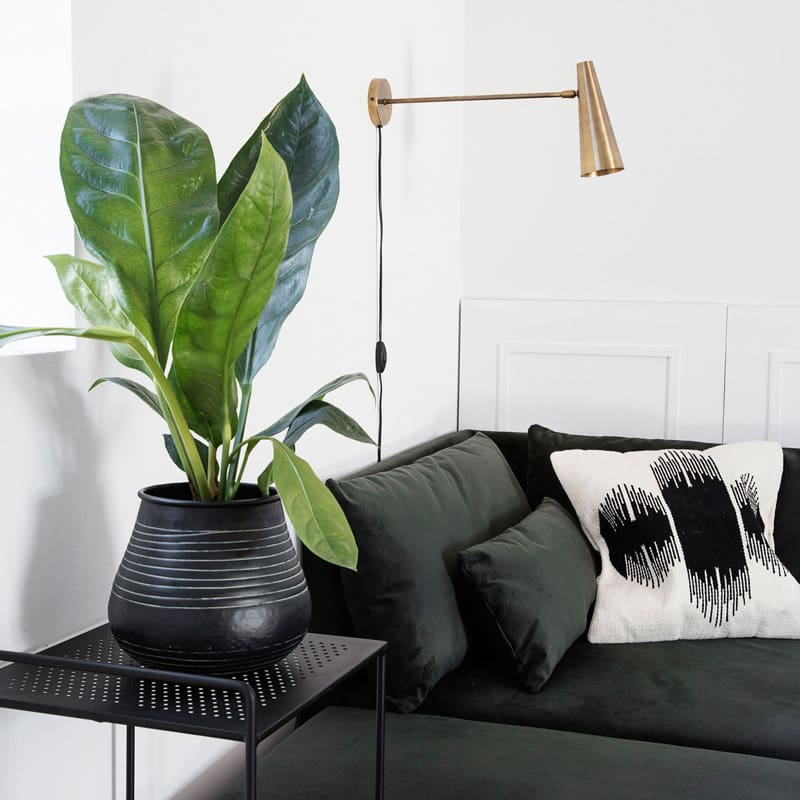 Pezula Interiors