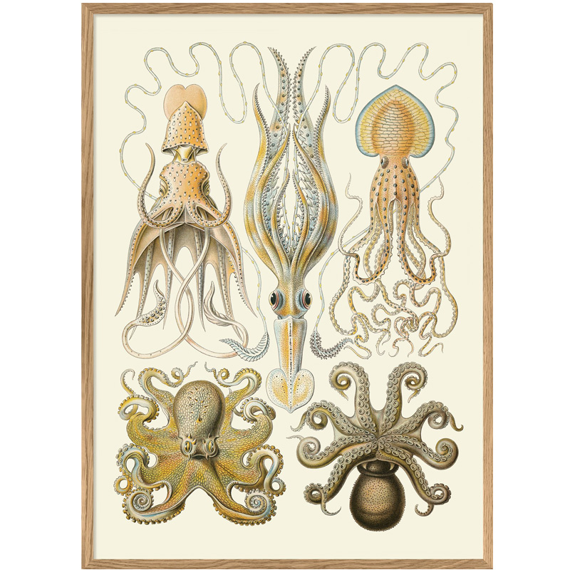 Yellow Octopuses