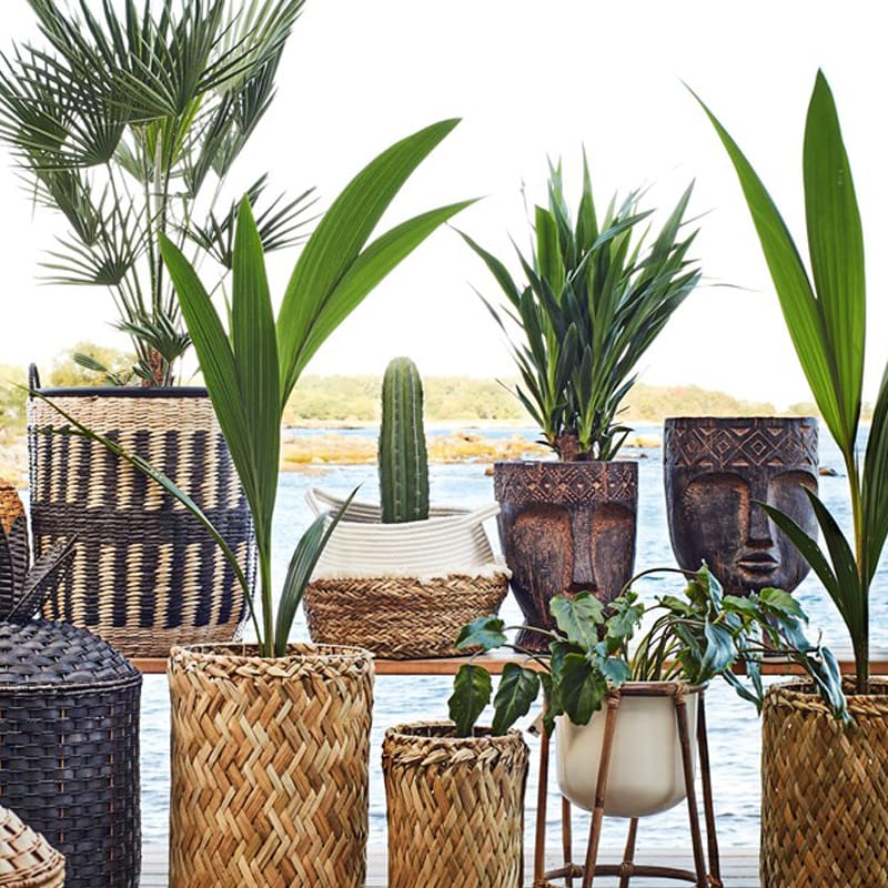Pezula Interiors