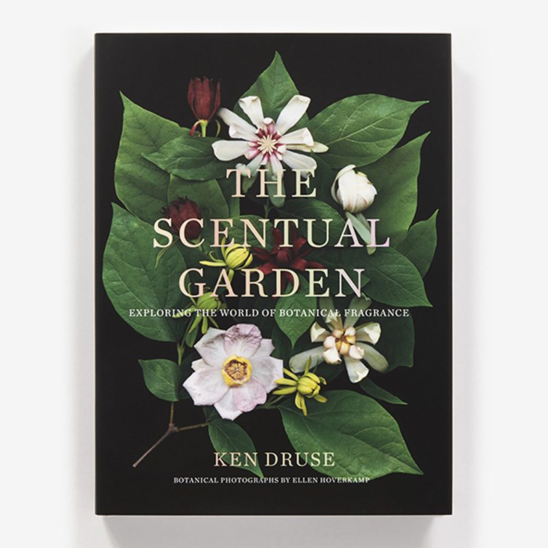 The Scentual Garden Exploring The World Of Botanical Fragrance