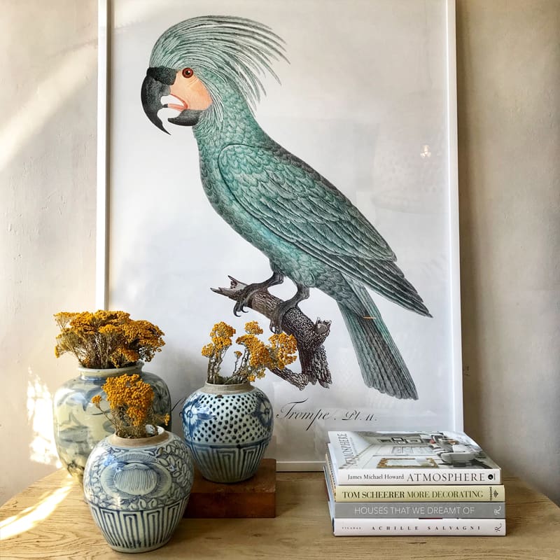Pezula Interiors