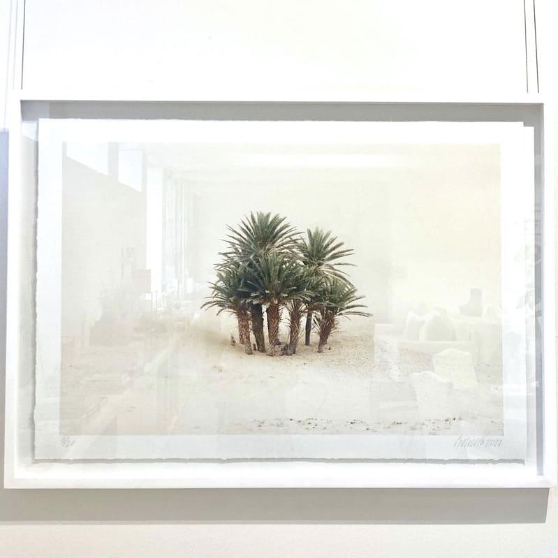 Pezula Interiors