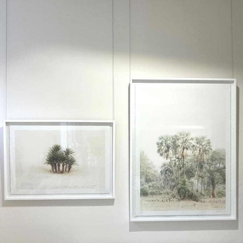 Pezula Interiors