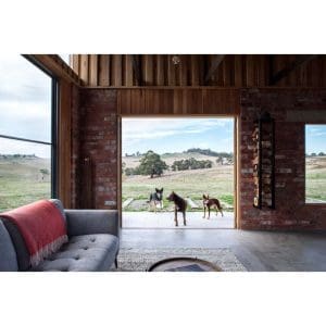 Alternative view of Resident Dog (Volume 2): Incredible Dogs and the International Homes They Live In – Nicole England