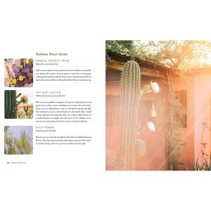 At Home in Joshua Tree 4