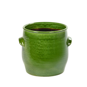 Green Pot with Handles