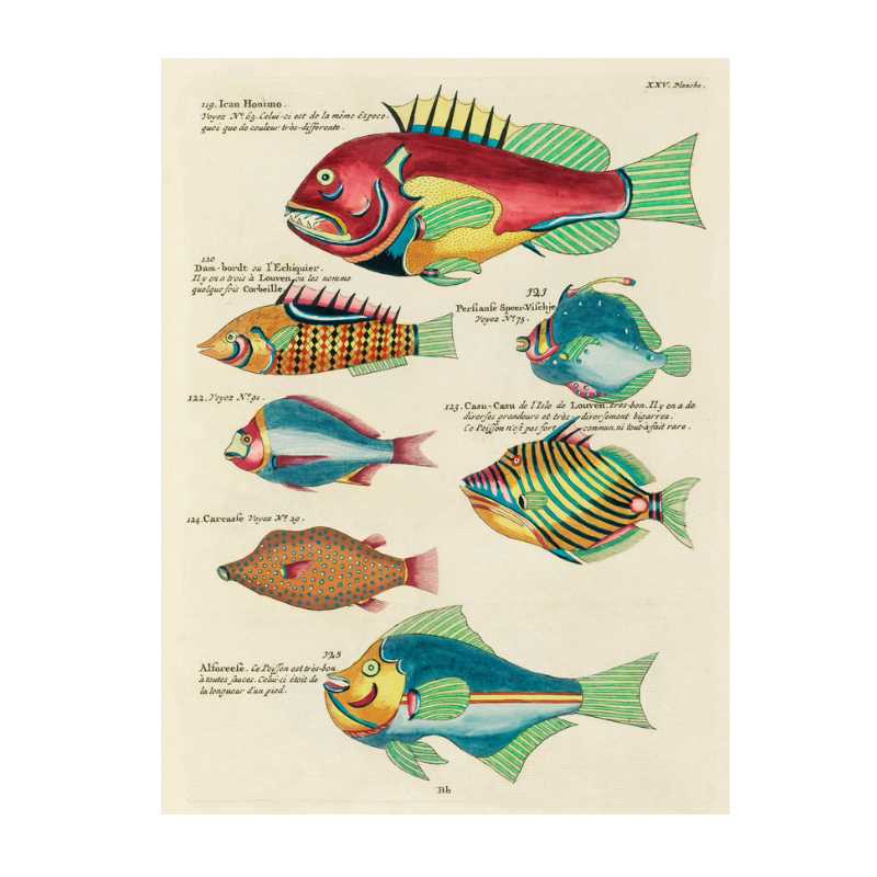 Tropical Fish Series: 008