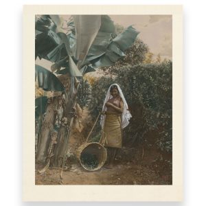 Sri Lankan Lady