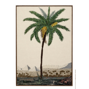 St. Erasmus Cairo Palm
