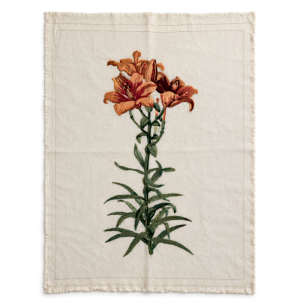 St. Erasmus Fire Lily (Unframed)